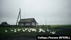 Сейчас в Омь приезжают в отпуска военные, некоторые из них – с ранениями