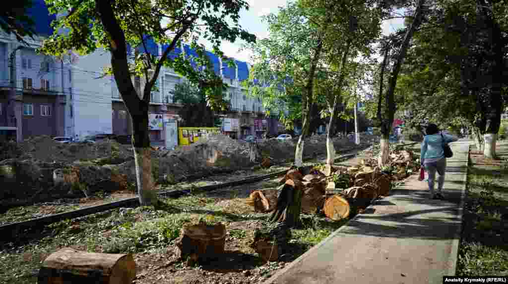 Рядом со спиленными деревьями дорожники сразу же роют траншею под закладку коммуникаций