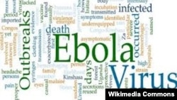 Ebola virusu