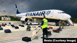 Ryanair sərnişin təyyarəsindəki baqajlar yoxlsnılır, Minsk hava limanı , 23 may 2021