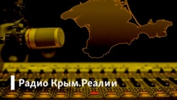 Радио Крым.Реалии / Хранители скреп: общественные движения на службе у Кремля