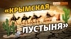 Канал в Крыму не сможет принять воду? | Крым.Реалии ТВ (видео)