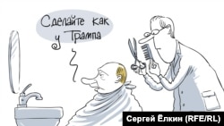 Карикатура Сергея Елкина