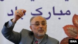 Ali Akbar Salehi