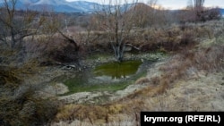 Пересохший водопад и обмелевшие «ванны молодости»: Кизил-Коба зимой (фотогалерея)